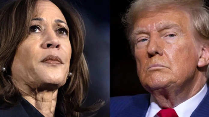 donald trump kamala harris
