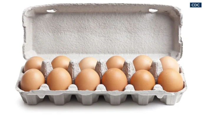 salmonella outbreak eggs recall