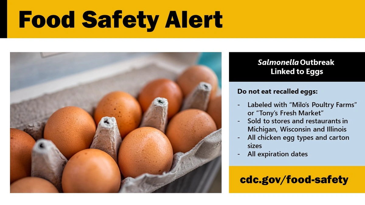 Why This Salmonella Outbreak Matters