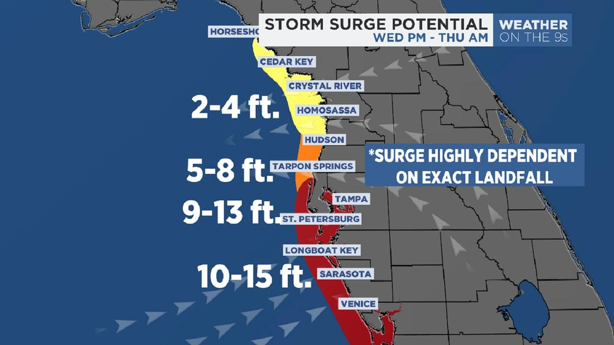 So, You Think You Know 'Hot'? Let's Talk About Tampa's Humidity.