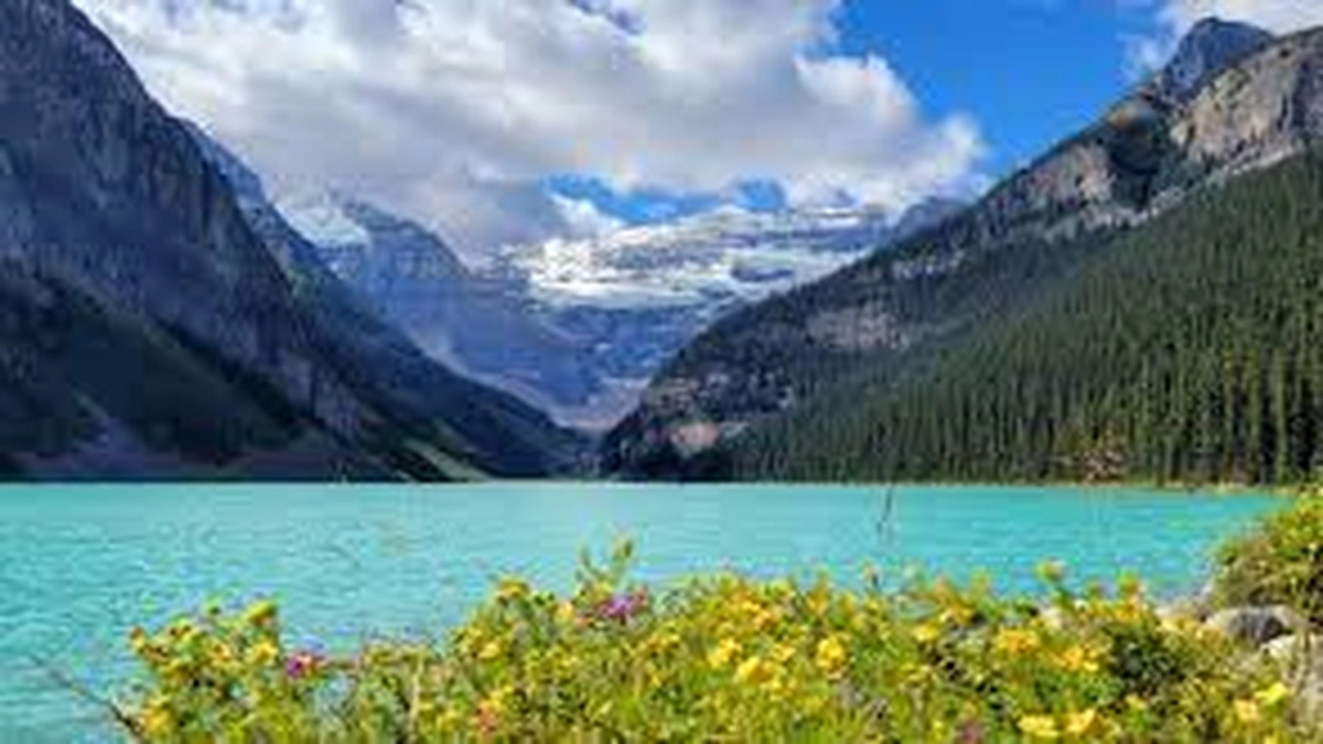 The 'Why' Behind the Wonder | A Delicate Balancing Act