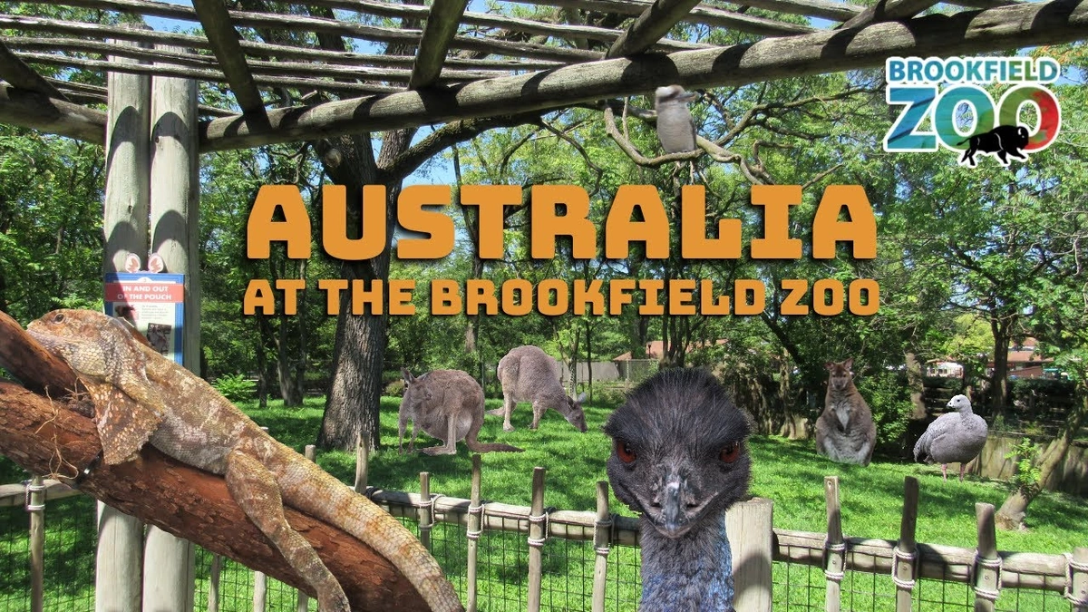 The Brookfield Zoo's Hidden Impact | Conservation in Action