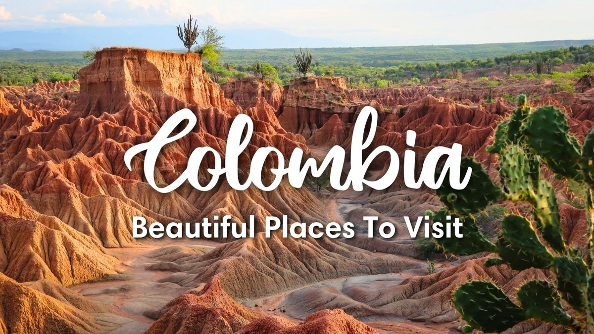 From Conflict to Coffee | Colombia's Remarkable Turnaround