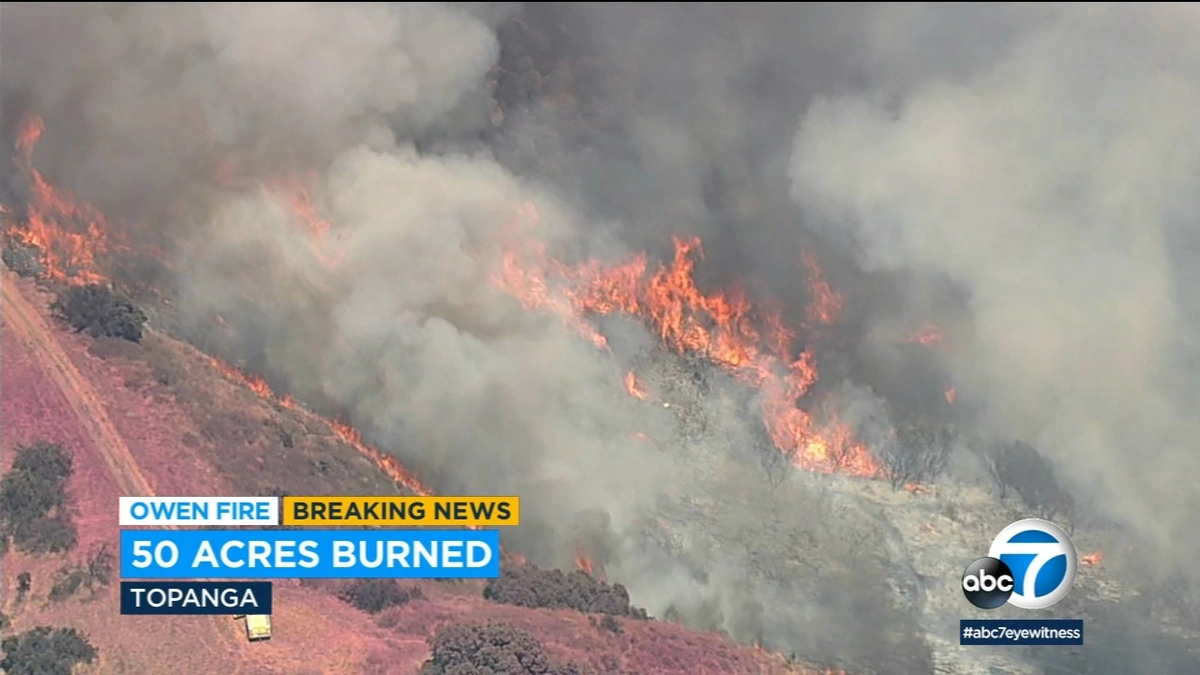 Decoding the Alerts | What Does 'Fire Near Me' Actually Mean?