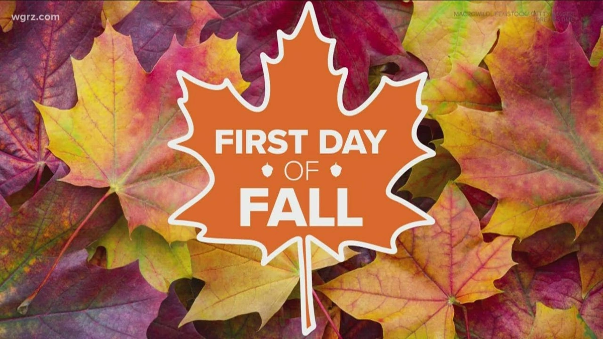 The Emotional Shift | Why We Crave Fall