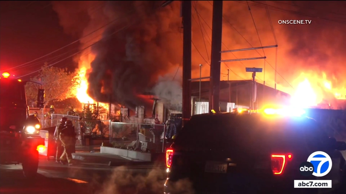 The Bigger Picture | Why Fires are Increasing