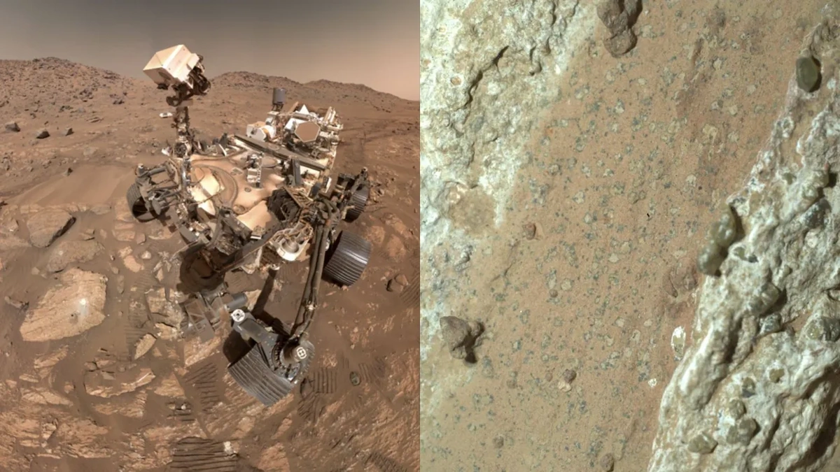 Why Martian Microbes Matter More Than You Think