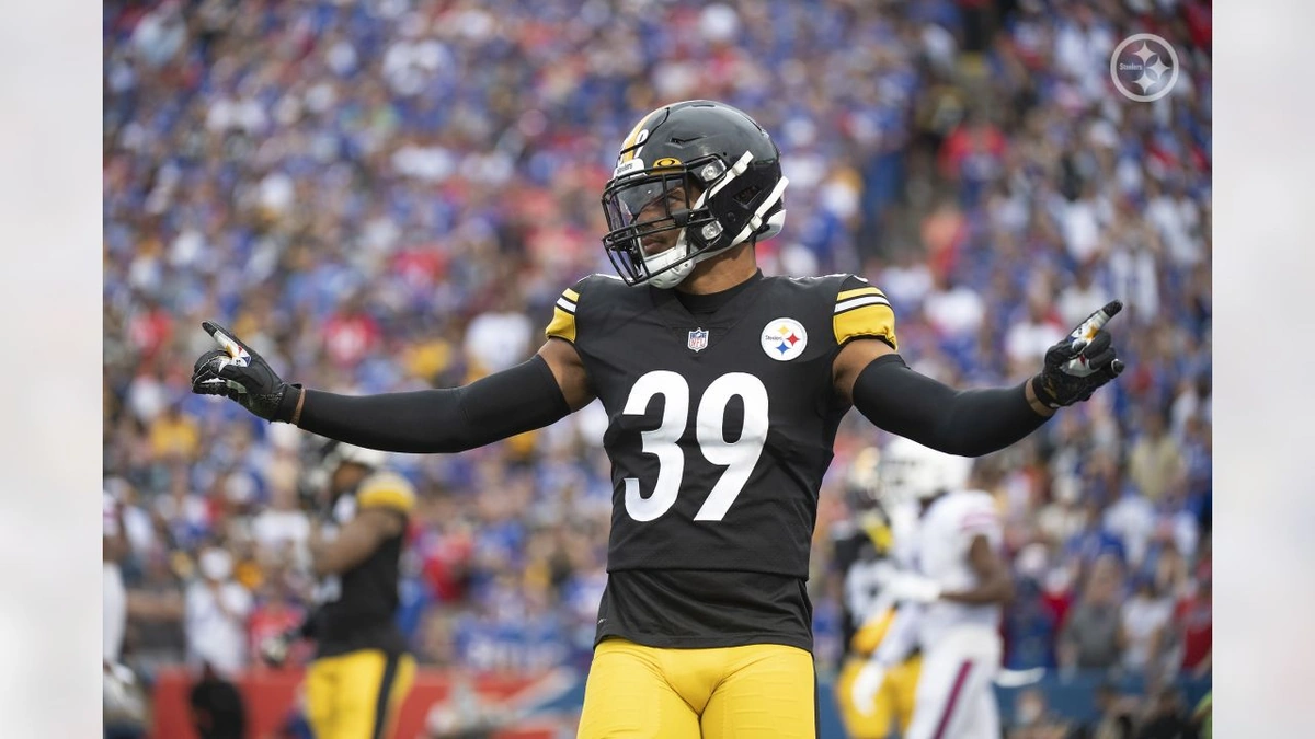 The Swiss Army Knife of the Steelers Defense