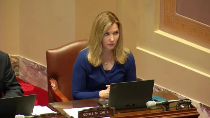 minnesota state senator nicole mitchell
