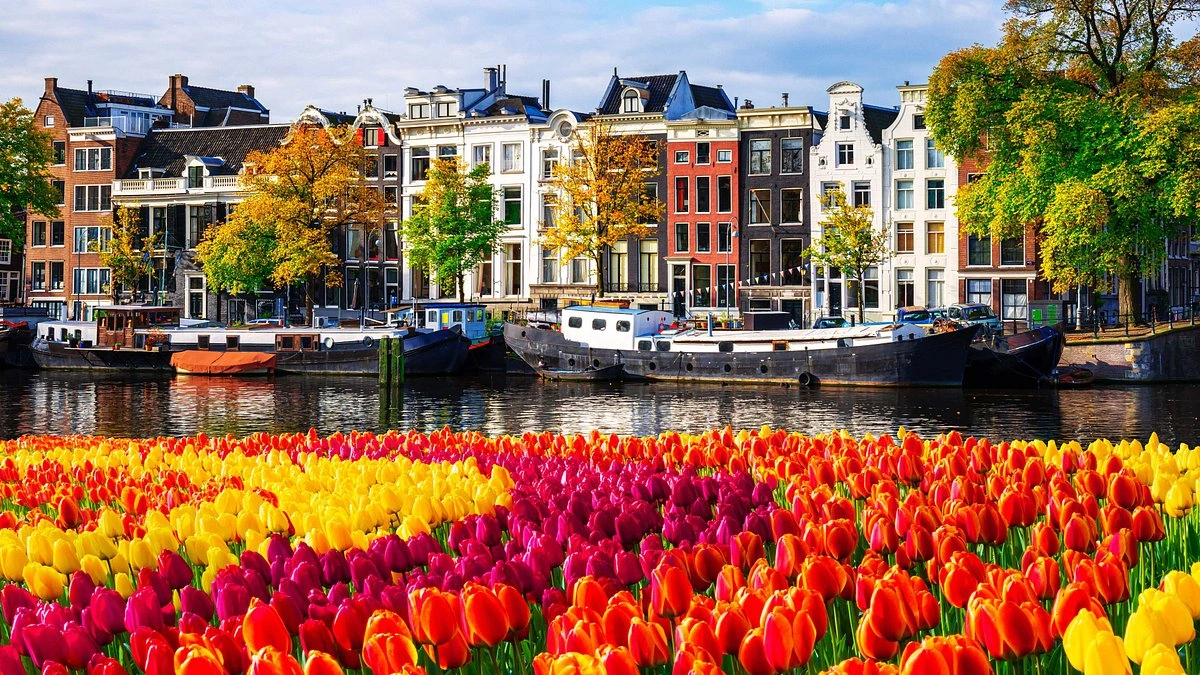 Why the Netherlands? A Historical Perspective