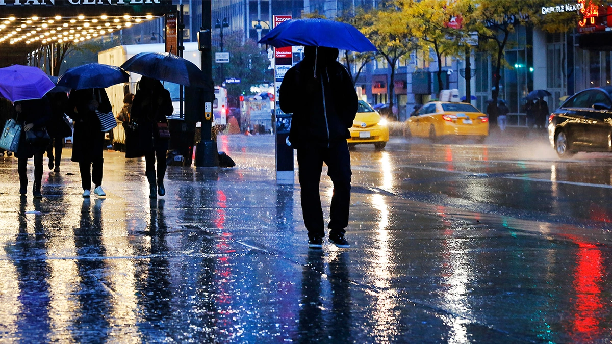 The Microclimate Maze | Why Your Block Might Be Different