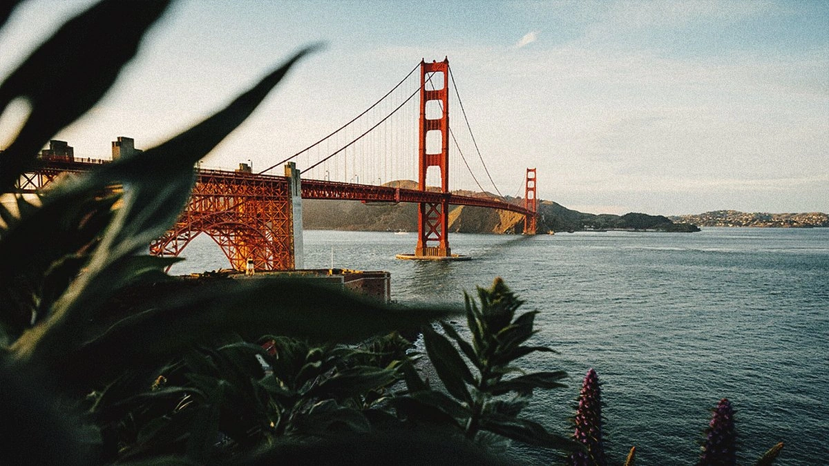 The Tech Boom & Bust | A City Reinventing Itself