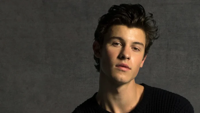 shawn mendes