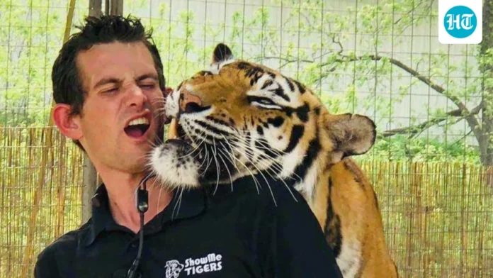 tiger king trainer killed