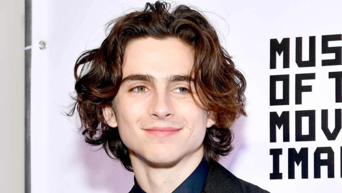 timothee chalamet