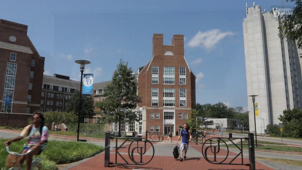 Why Delaware? Unpacking the Appeal