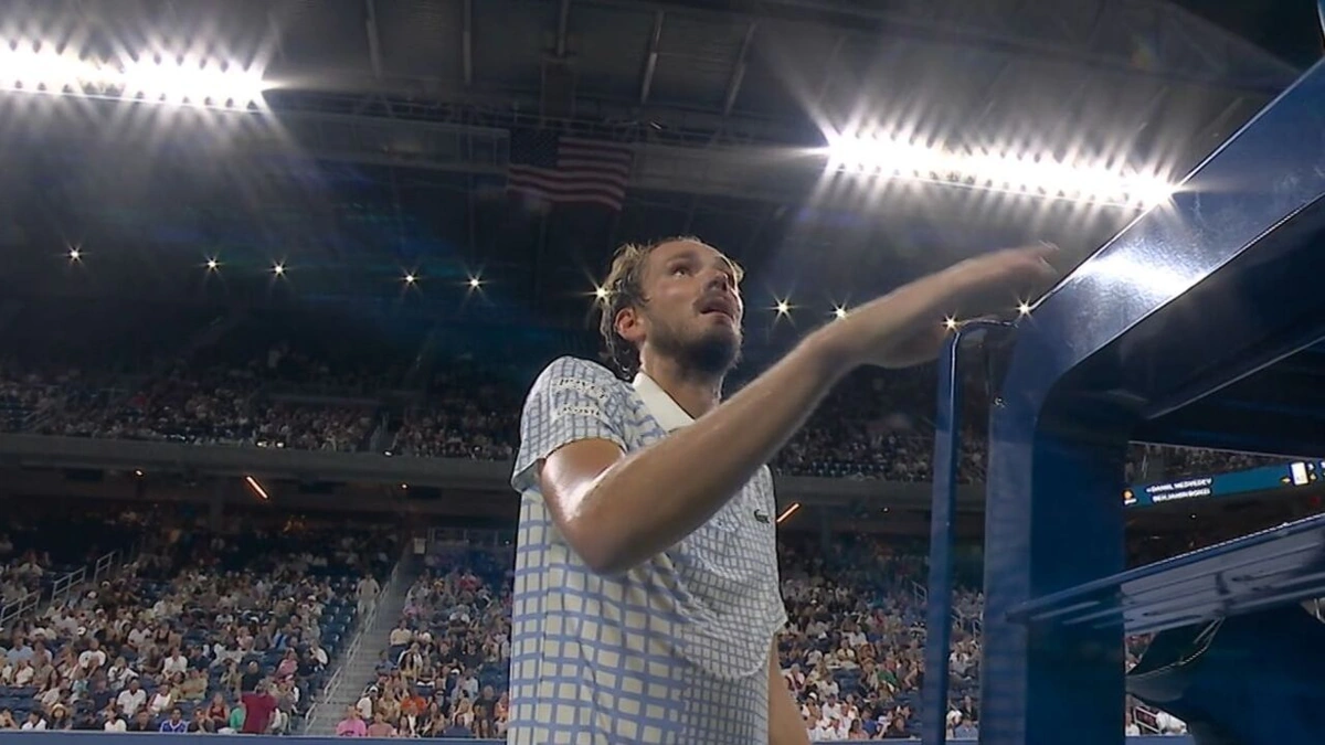 Why Fan Disruptions Are More Than Just Annoying