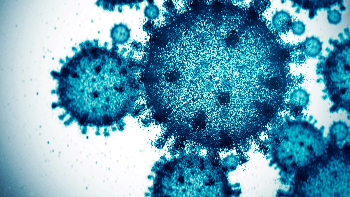 The Invisible Enemy | Understanding Viral Mechanisms