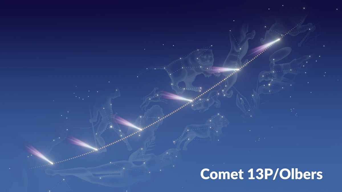 Why Should You Care About These Comets?