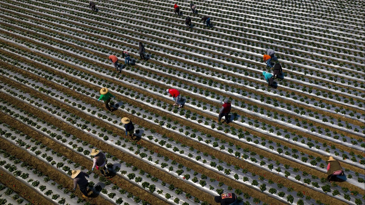 Why Illinois Needs Help | More Than Just Numbers