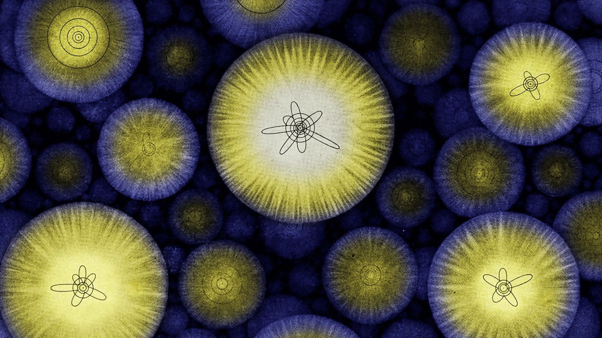 Electrons and the Art of Perception | What Does It Mean to 'Sense'?