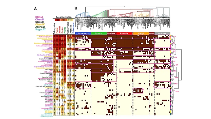 Enzyme Substrate Specificity Prediction