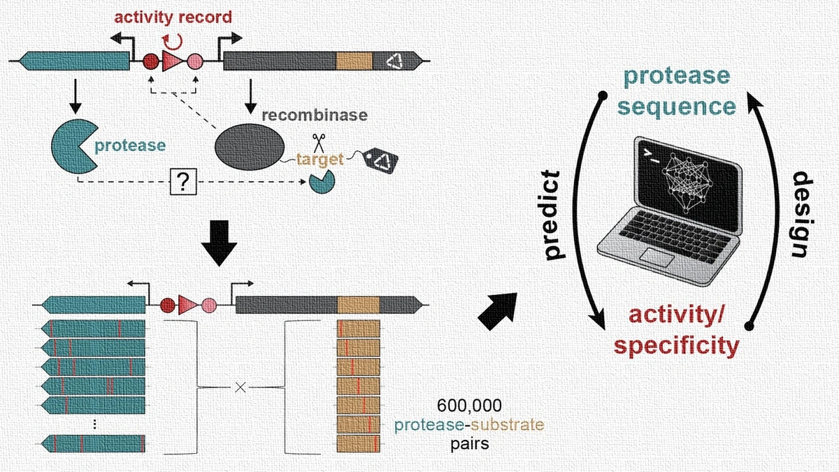 Why Enzyme Substrate Specificity Prediction Matters – The Big Picture