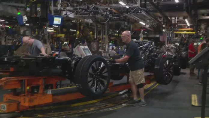 Ford Expedition Navigator Halt