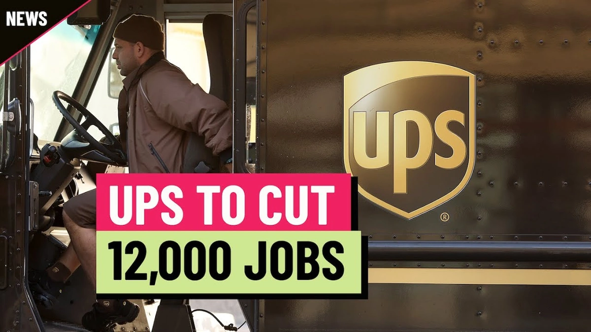 The "Why" Behind the Numbers | More Than Just Cost-Cutting