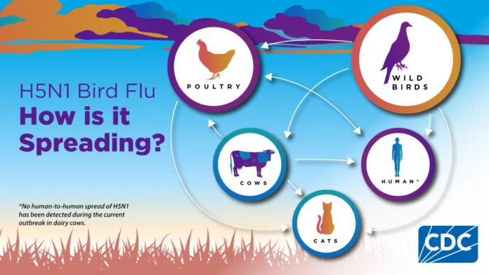 avian flu