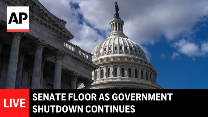government shutdown