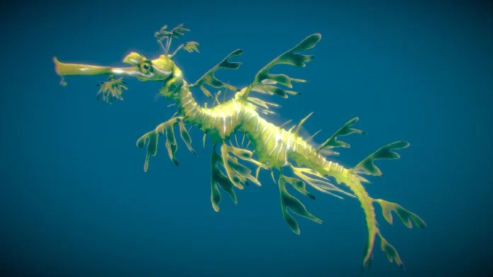 sea dragon