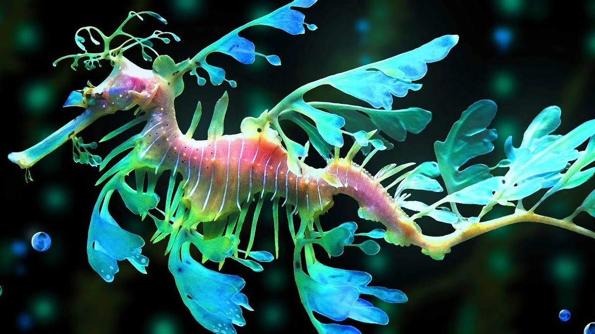 Why This Sea Dragon Discovery Matters (More Than You Think)