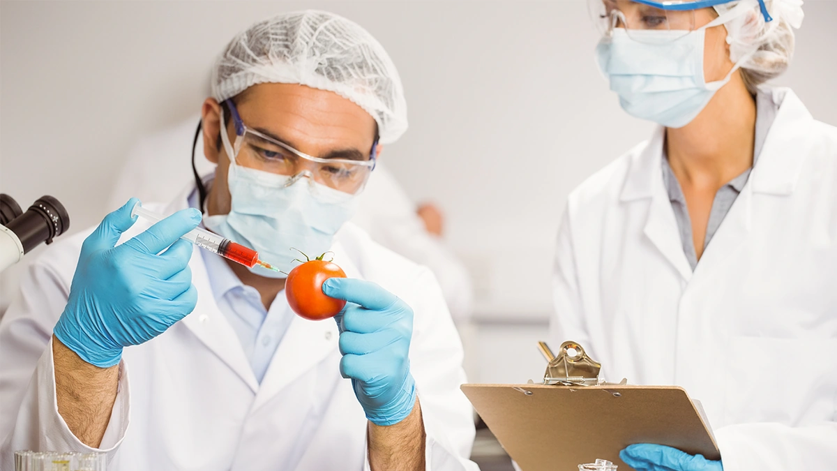 Why Bother withTesting? Unveiling the Hidden Value