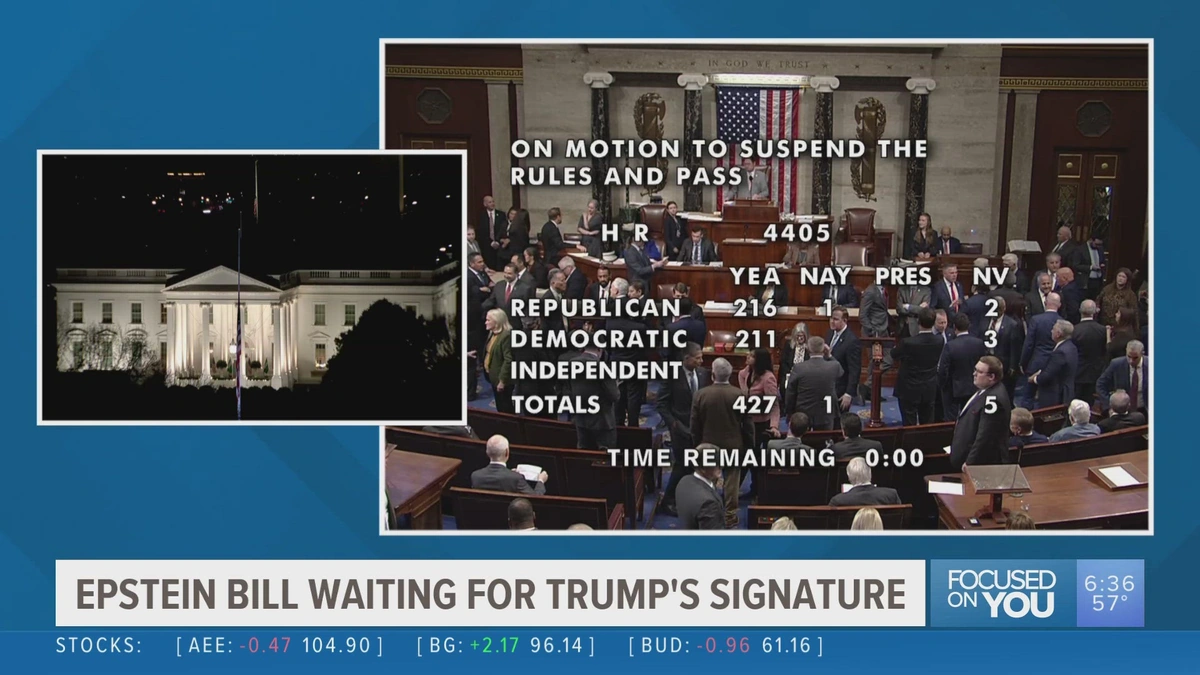 Decoding the "Epstein Bill" | What's Really Going On?