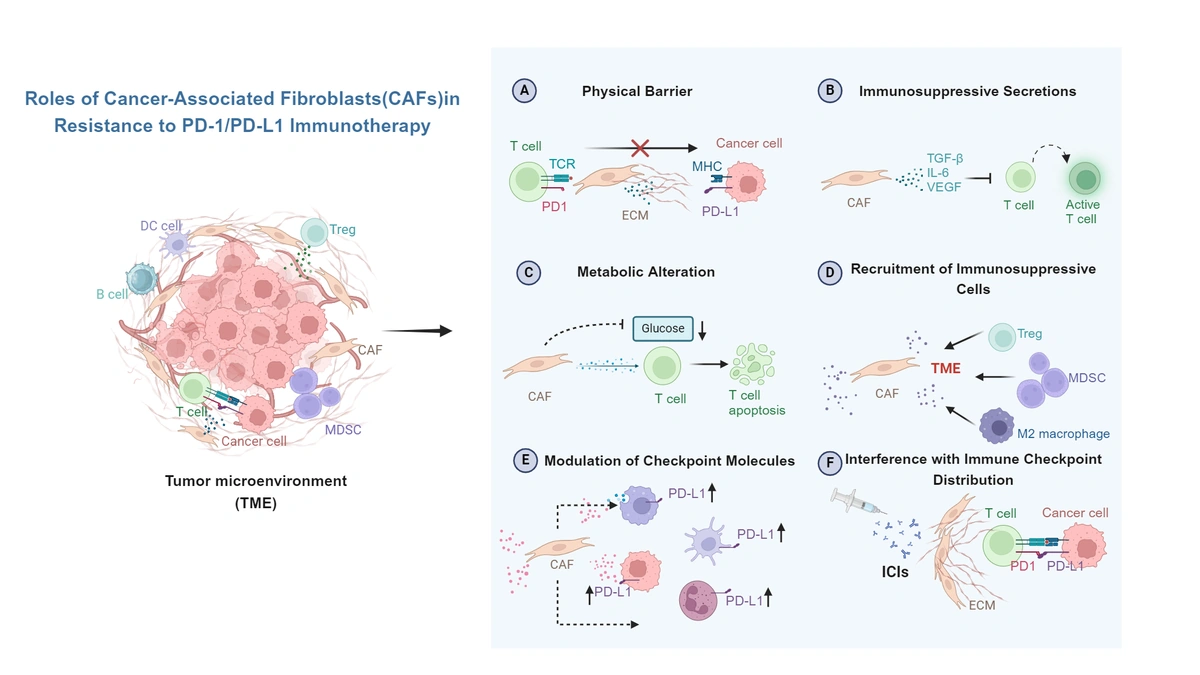The 'Why' Behind the Resistance