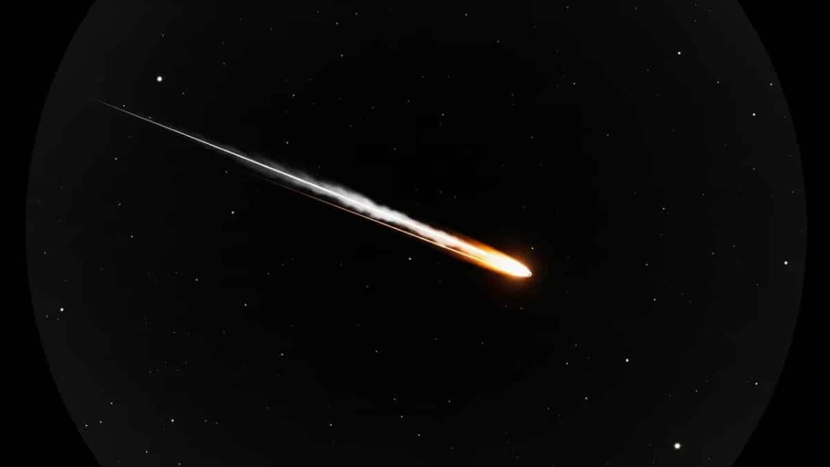 Why Should We Even Care About an Interstellar Comet?