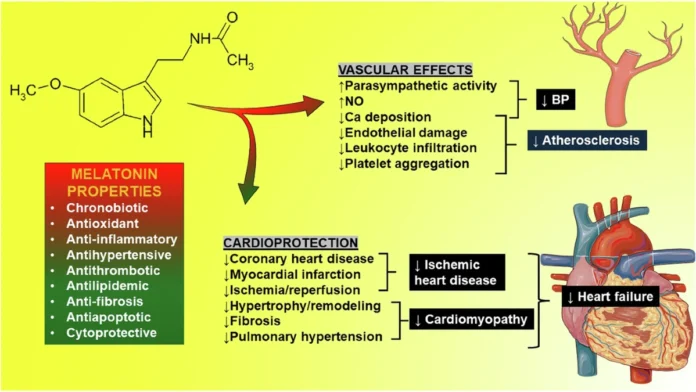 Melatonin and Heart Health