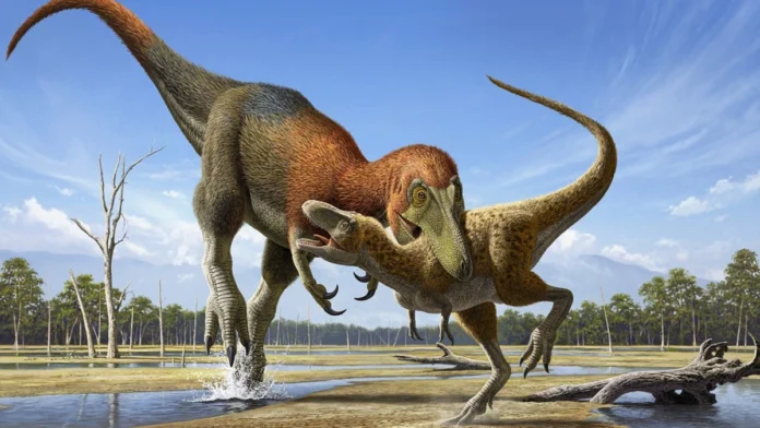 Nanotyrannus