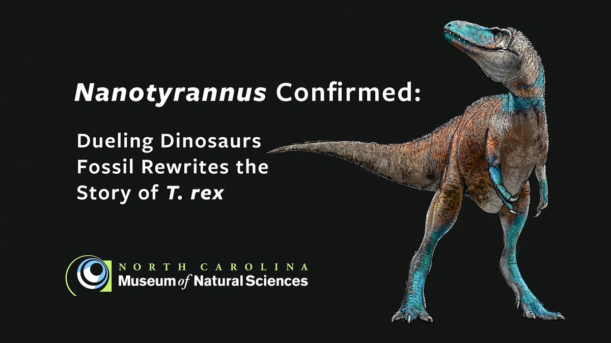 The Case for a Unique Nanotyrannus