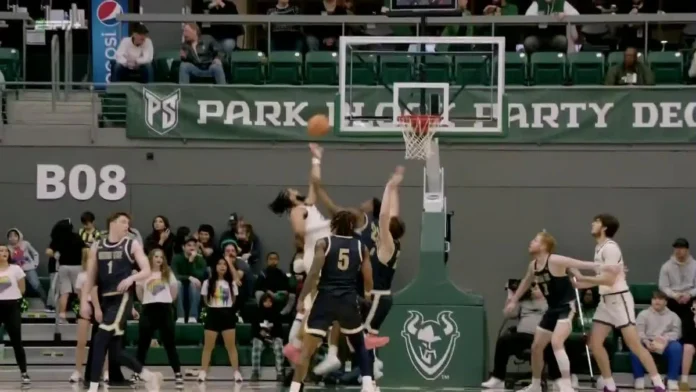 montana vs portland st