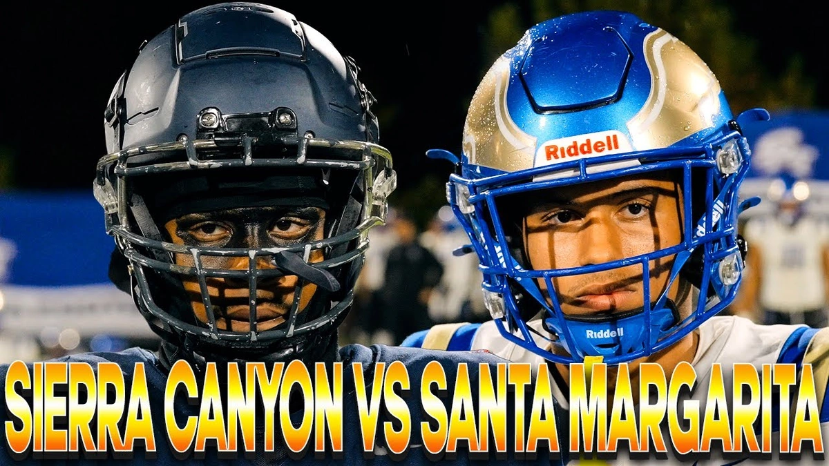 The DNA of a Champion | More Than Talent