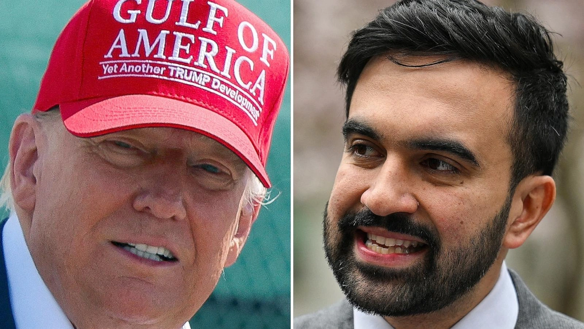 Who is Mamdani, and Why Should Trump Care?